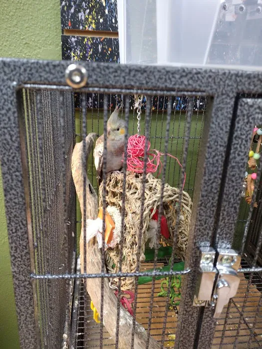 Missing Link Aquatics & Exotics Picture 4