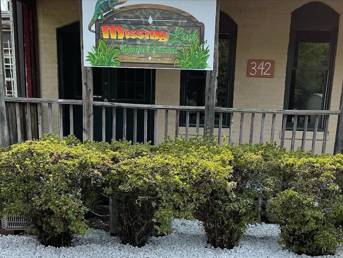 Missing Link Aquatics & Exotics Picture 1