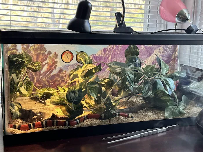 Missing Link Aquatics & Exotics Picture 9