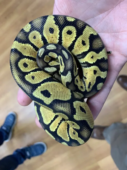 Missing Link Aquatics & Exotics Picture 10