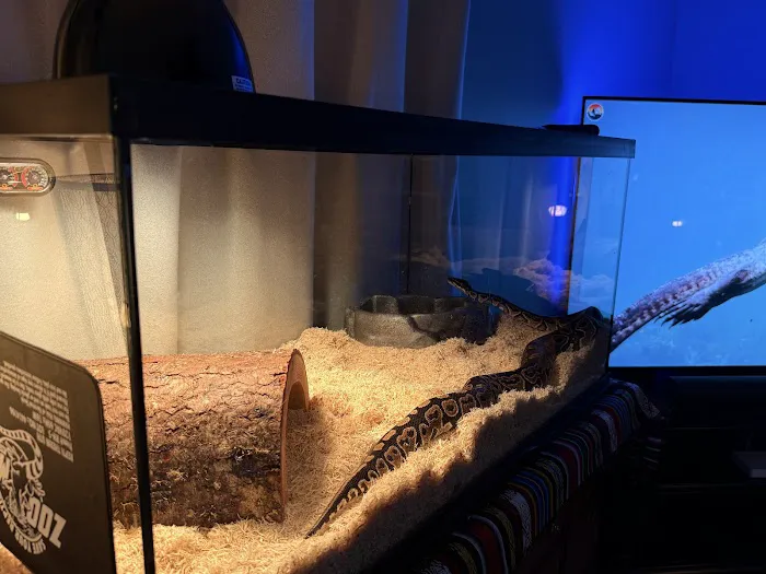 Missing Link Aquatics & Exotics Picture 7