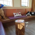 Animal Eye Care of New England