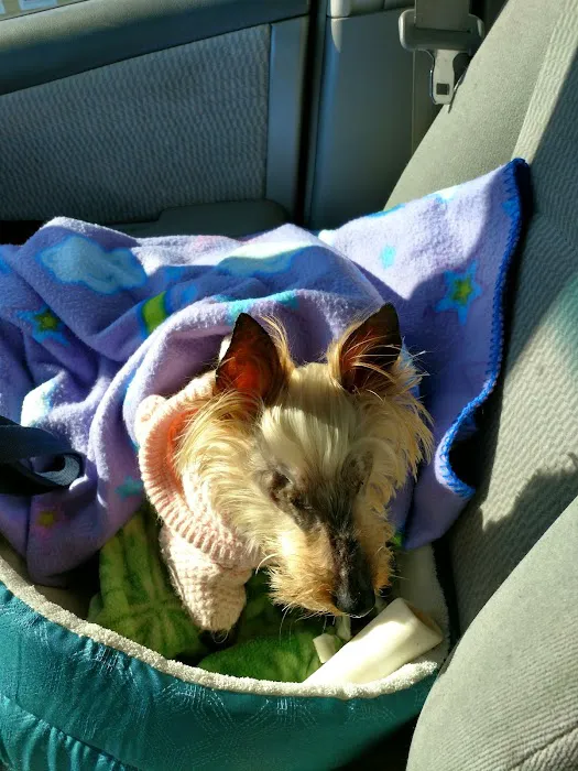 Animal Eye Care of New England Picture 10