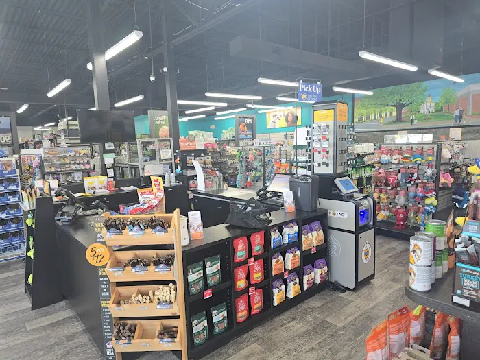 Pet Supermarket Picture 6