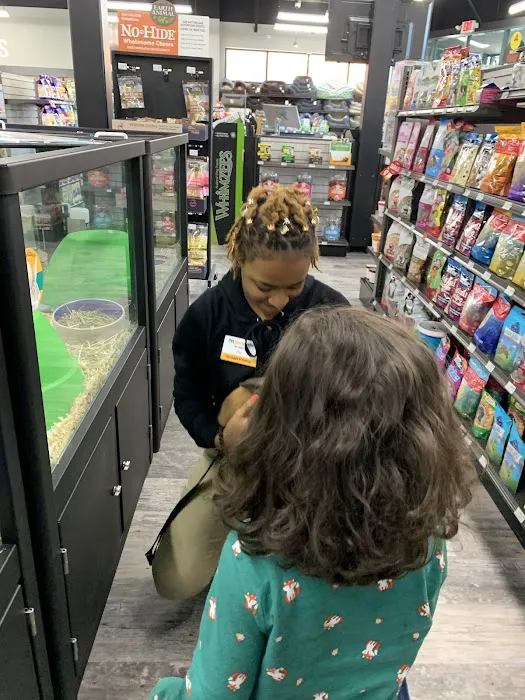 Pet Supermarket Picture 3