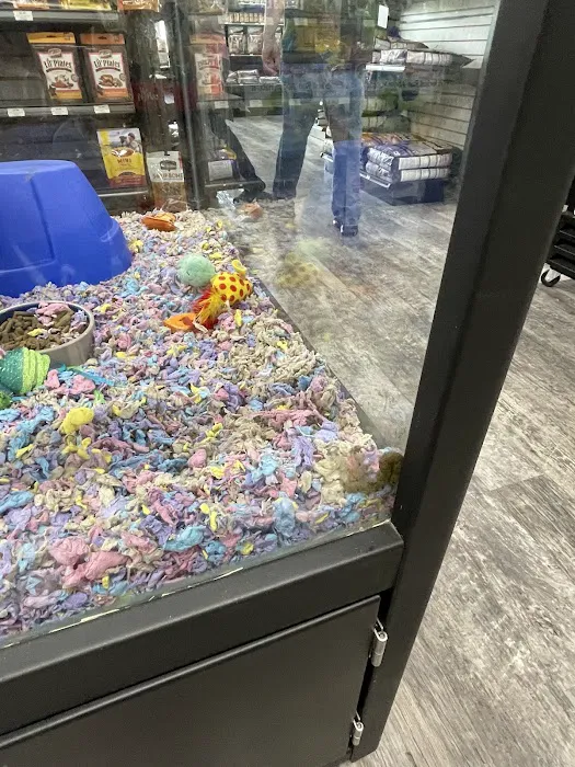 Pet Supermarket Picture 4