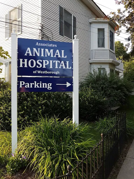 Associates Animal Hospital Picture 6