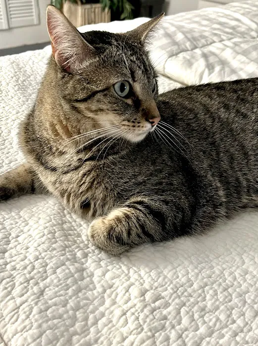 Putnam Veterinary Clinic Picture 2