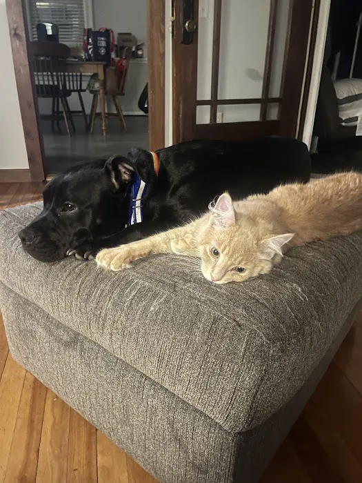 Putnam Veterinary Clinic Picture 9