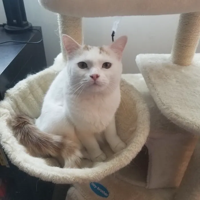 Putnam Veterinary Clinic Picture 5