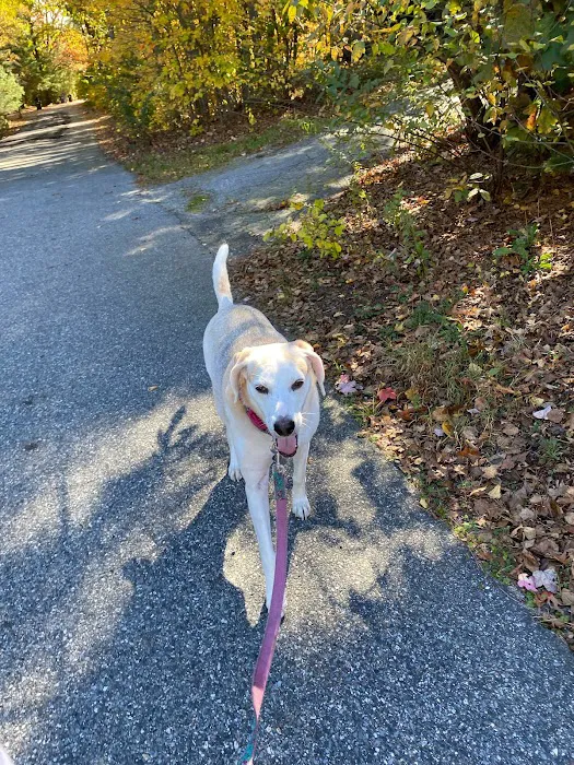 Putnam Veterinary Clinic Picture 3