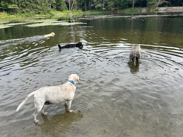 Putnam Veterinary Clinic Picture 4