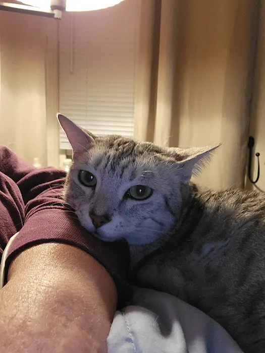 Putnam Veterinary Clinic Picture 8