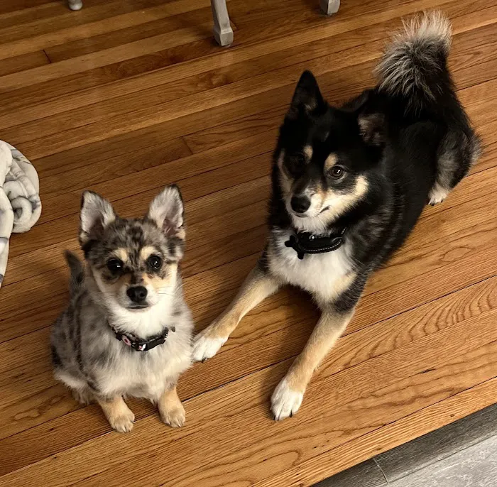 Putnam Veterinary Clinic Picture 10