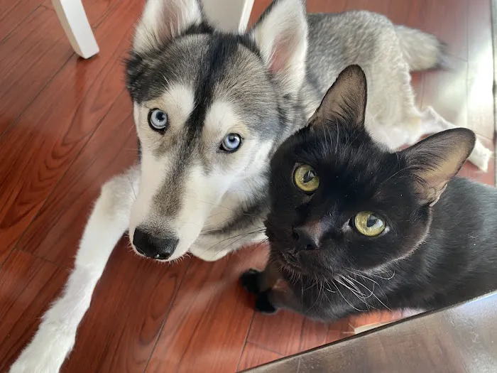 Putnam Veterinary Clinic Picture 7