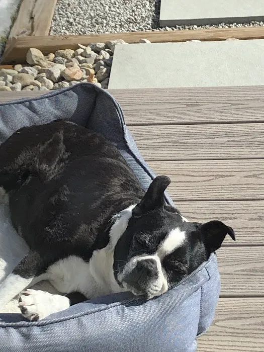 Putnam Veterinary Clinic Picture 6