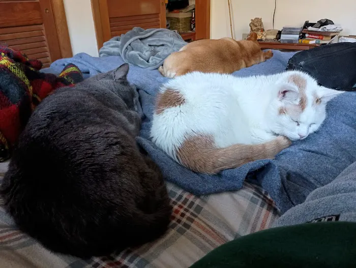 Cumberland Animal Hospital Picture 3