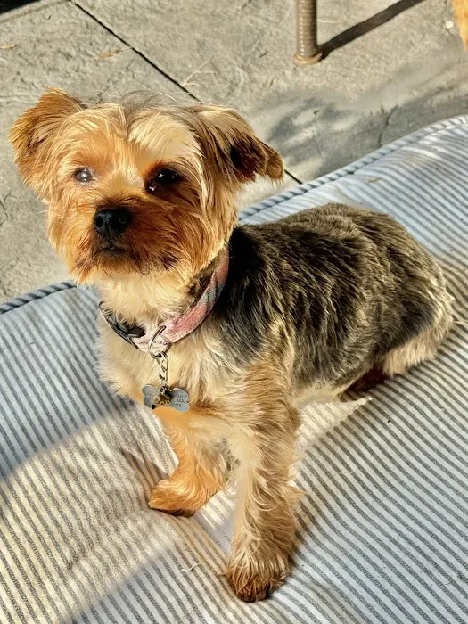 Cumberland Animal Hospital Picture 9