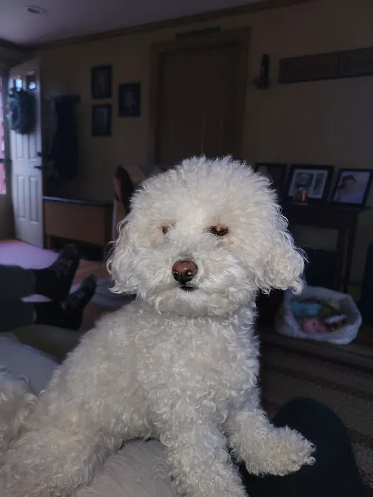 Cumberland Animal Hospital Picture 7