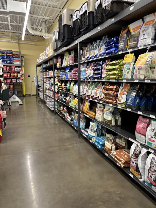 Hollywood Feed Picture 3