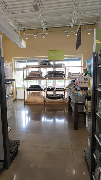 Hollywood Feed Picture 4