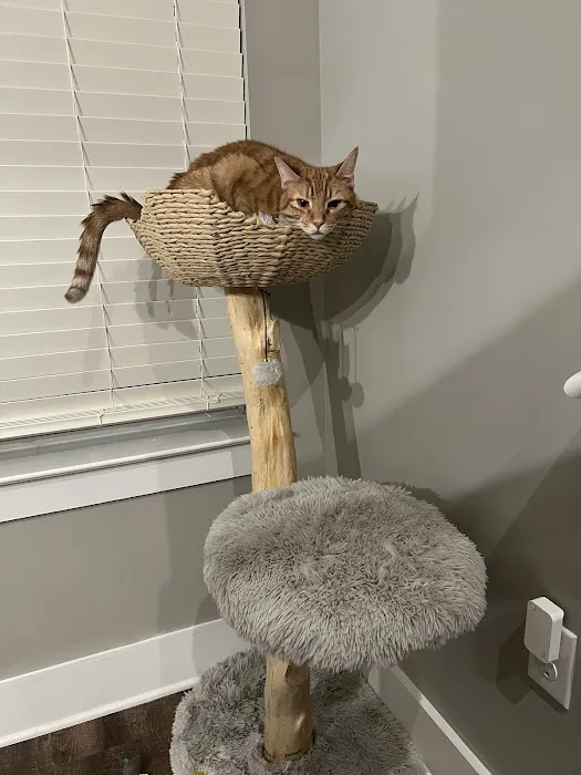 Hollywood Feed Picture 7