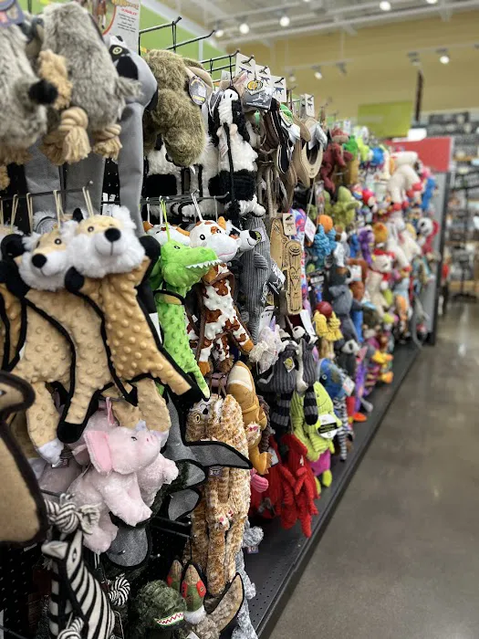 Hollywood Feed Picture 5