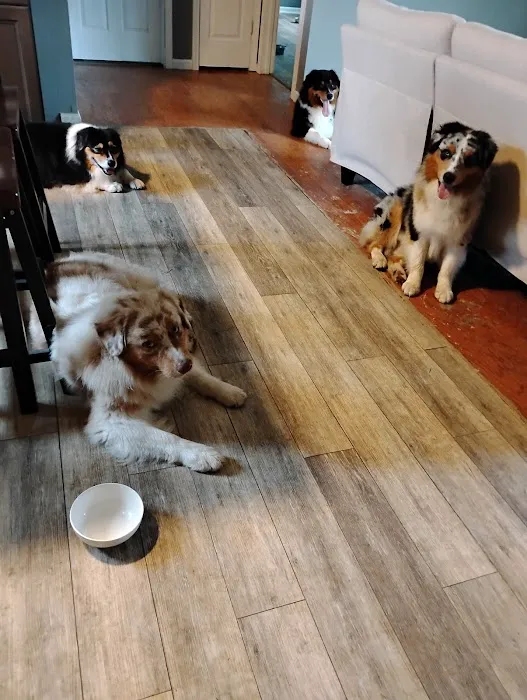 Hollywood Feed Picture 1