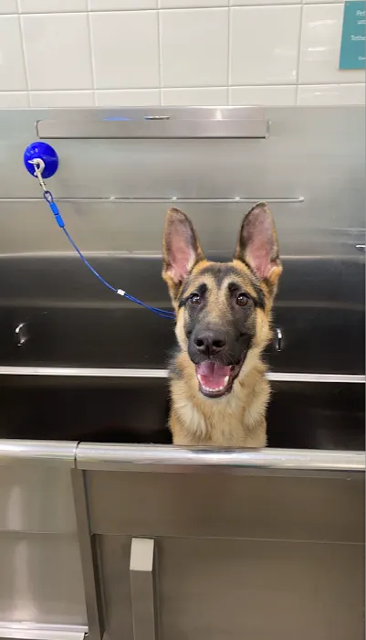 Hollywood Feed Picture 10