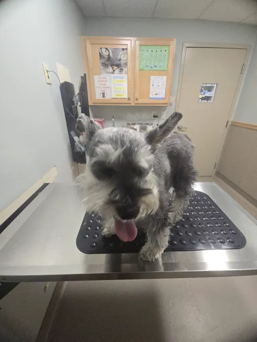 Abbott Valley Veterinary Center Picture 6