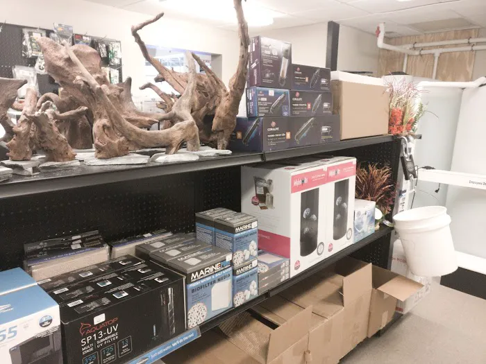 Salty's of Lake Norman Picture 3