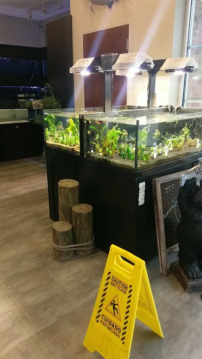 Salty's of Lake Norman Picture 4