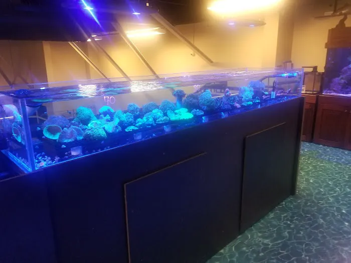 Salty's of Lake Norman Picture 5