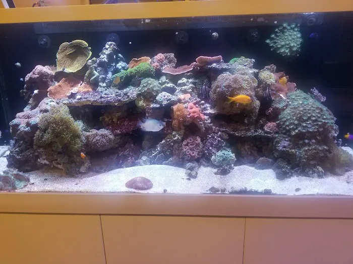 Salty's of Lake Norman Picture 8