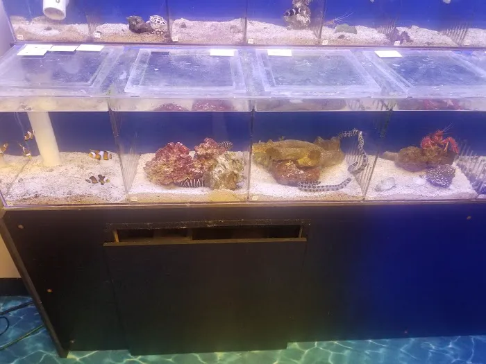 Salty's of Lake Norman Picture 9