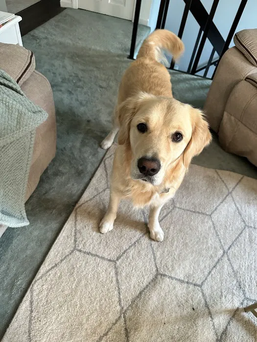 Compassionate Care Veterinary Clinic Picture 1