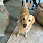 Compassionate Care Veterinary Clinic