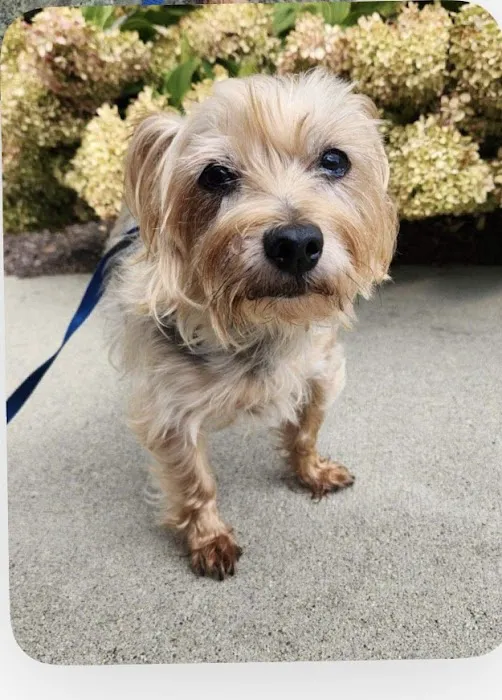 Compassionate Care Veterinary Clinic Picture 5