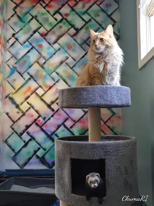 Compassionate Care Veterinary Clinic Picture 10