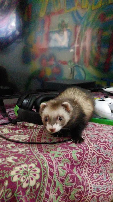 Compassionate Care Veterinary Clinic Picture 4