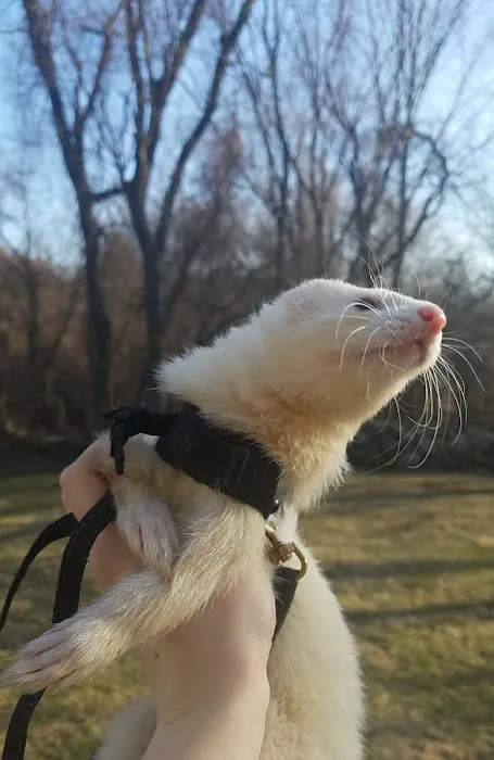 Compassionate Care Veterinary Clinic Picture 8