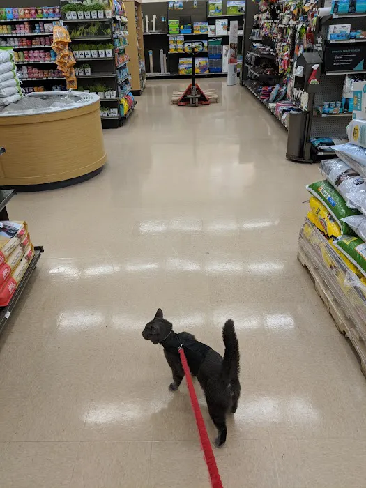 Petco Picture 8