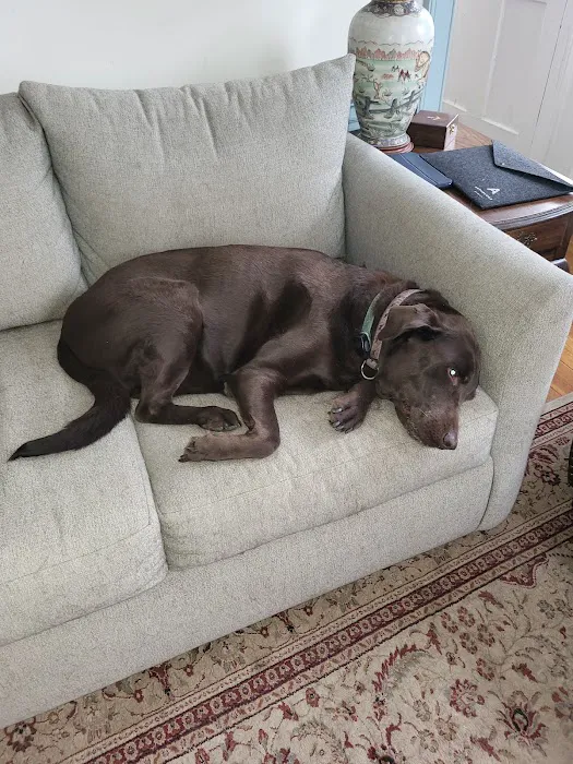 Medway Animal Hospital Picture 2