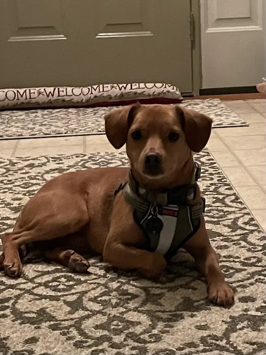 Medway Animal Hospital Picture 1