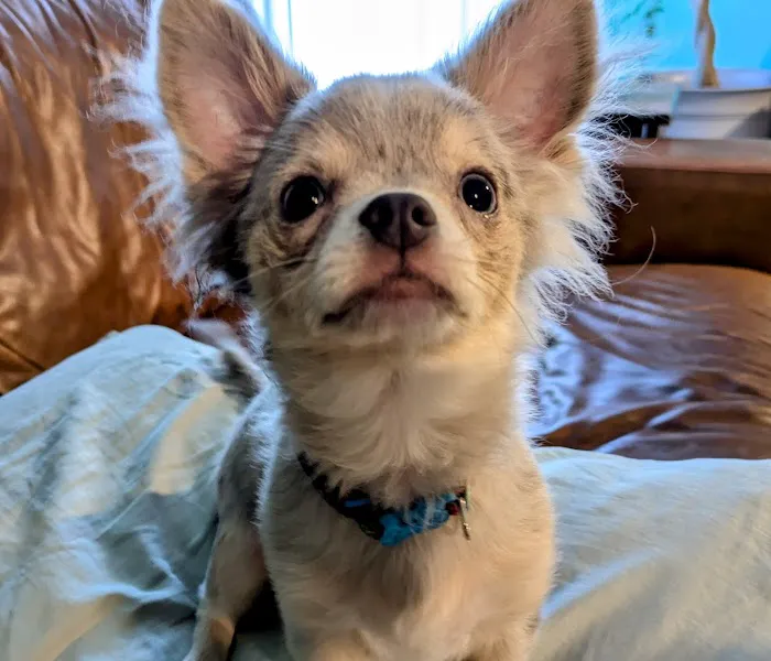 Medway Animal Hospital Picture 4