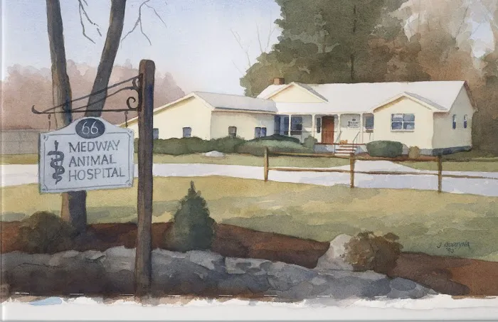 Medway Animal Hospital Picture 9