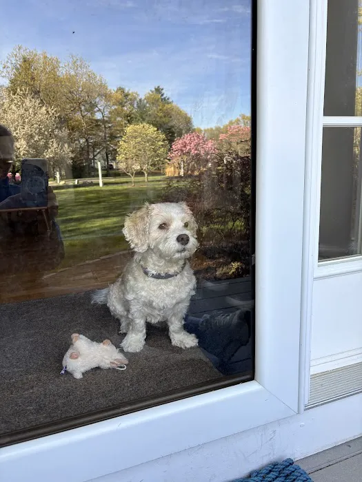 Medway Animal Hospital Picture 8