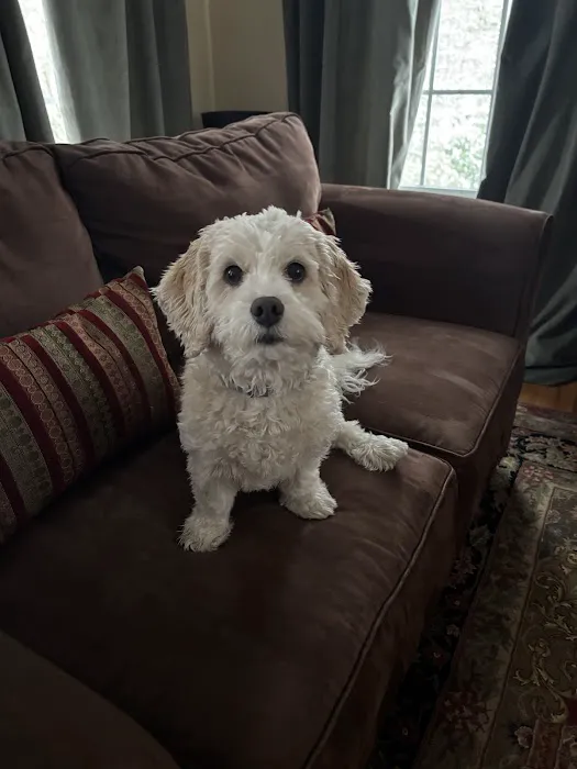 Medway Animal Hospital Picture 5