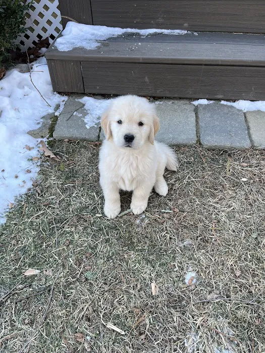 Medway Animal Hospital Picture 6