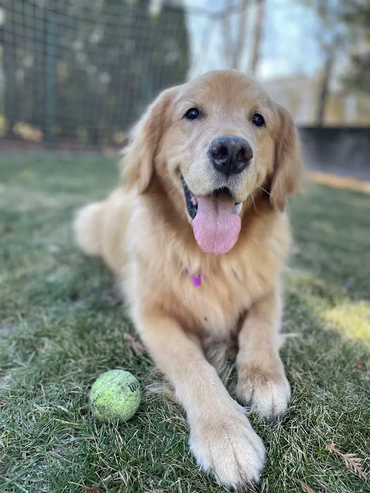 Medway Animal Hospital Picture 10